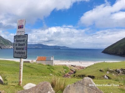 Luxury Private Tours in Ireland with Local Guide – Wild About Ireland
