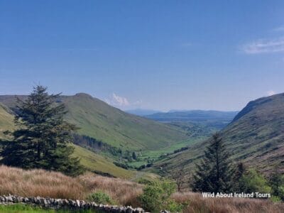 Luxury Private Tours in Ireland with Local Guide – Wild About Ireland