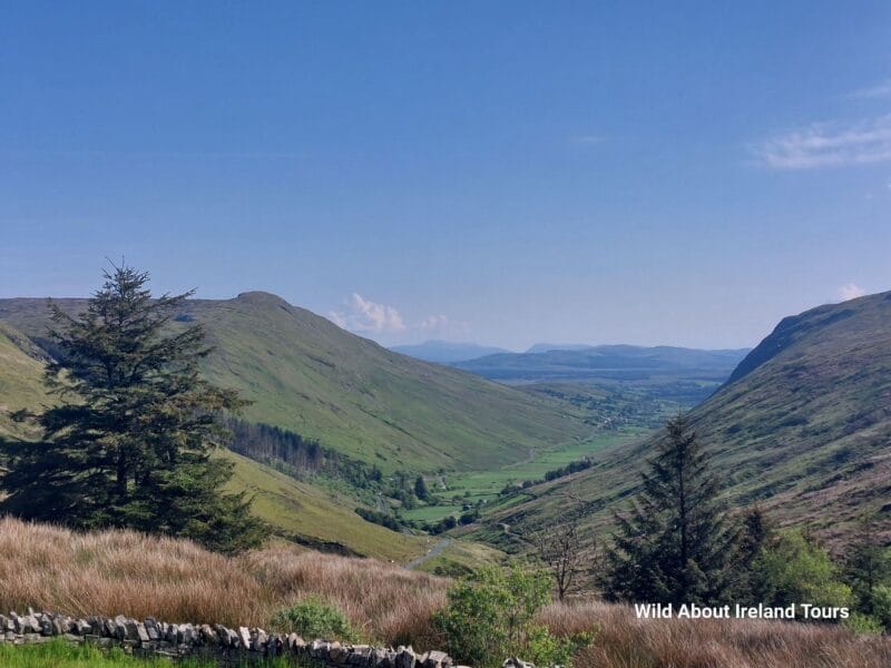 Luxury Private Tours in Ireland with Local Guide – Wild About Ireland