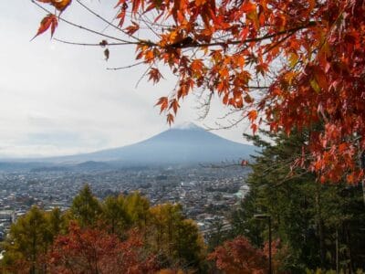 Explore Tokyo with a Local – Rental Japanese