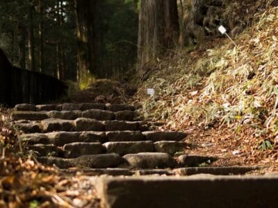 Explore Tokyo with a Local – Rental Japanese