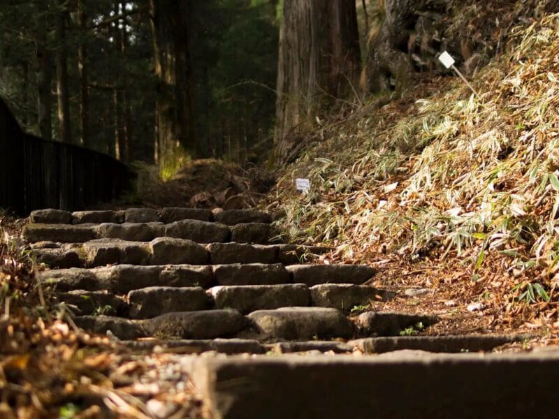 Explore Tokyo with a Local – Rental Japanese