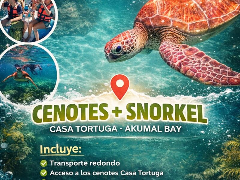 Airport Transfers in Tulum & Cancun + Riviera Maya Tours | Cenotes, Chichen Itza, Bacalar