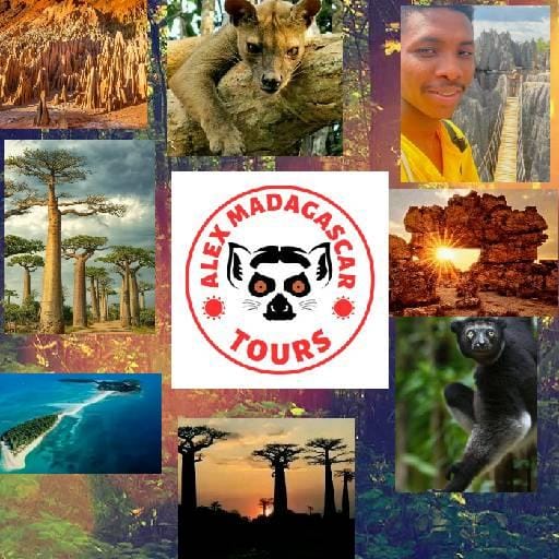 Discover the Real Madagascar with Alex Mada Tours