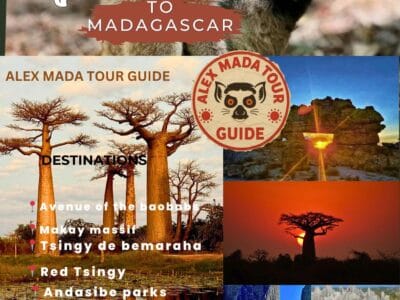 Discover the Real Madagascar with Alex Mada Tours