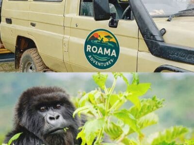 Roama Adventures – Safari, Rafting & Real East Africa Experiences