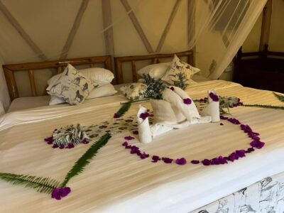 Roama Adventures – Safari, Rafting & Real East Africa Experiences