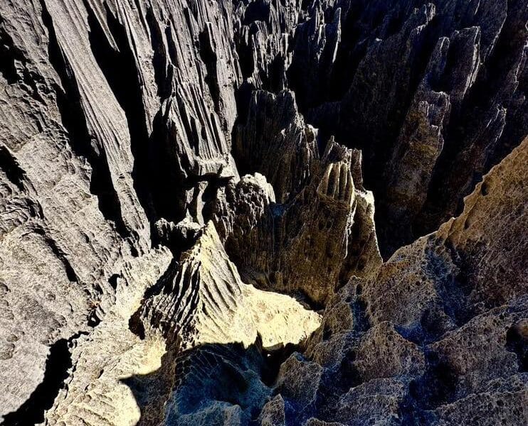Discover the Real Madagascar with Alex Mada Tours