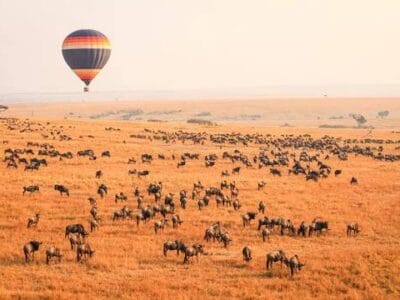 Kenya Safari Adventures with Travellers Tours and Safaris