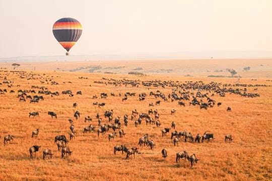 Kenya Safari Adventures with Travellers Tours and Safaris