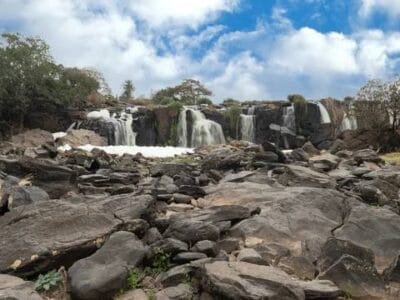 Kenya Safari Adventures with Travellers Tours and Safaris