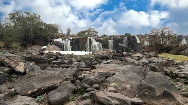 Kenya Safari Adventures with Travellers Tours and Safaris