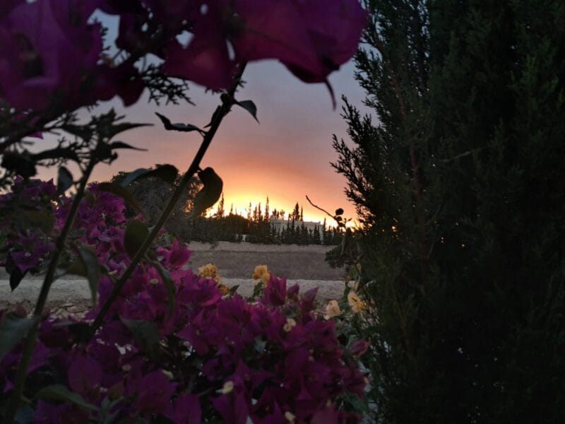 Maison du Soleil Maroc – Peaceful Escape Near Essaouira
