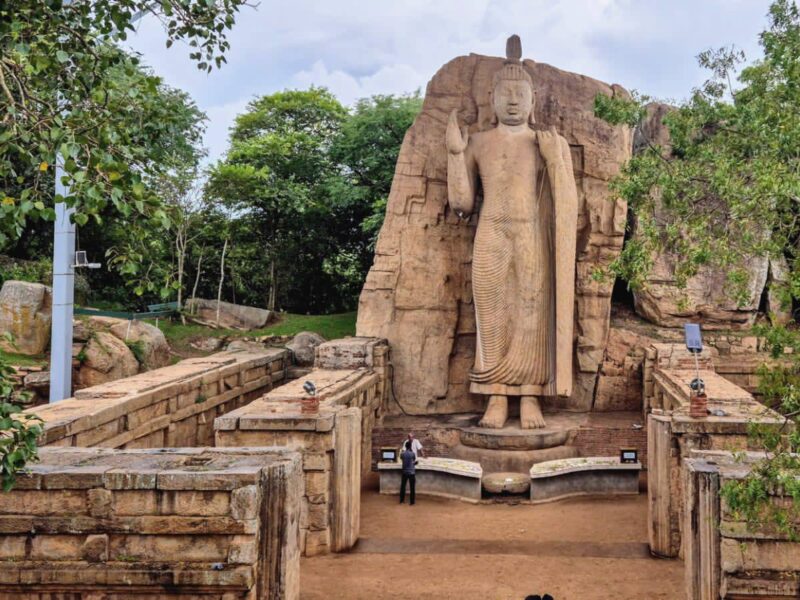Discover Sri Lanka with Buddi Tours – Beaches, Safari & Unforgettable Adventures