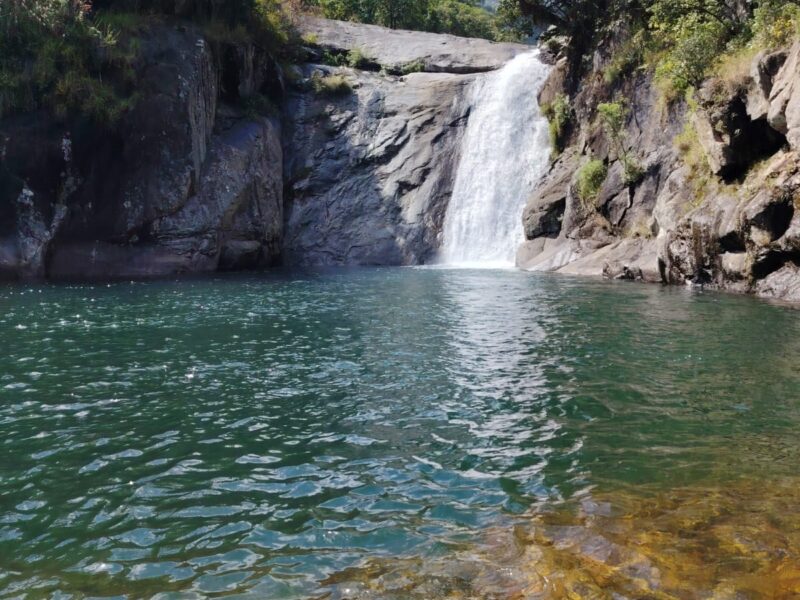 Mulanje Mountain Trekking Tours in Malawi | Local Guides & Hiking Adventures