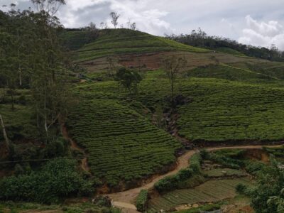 Private Tours Around Sri Lanka – WUS Kumara Tours