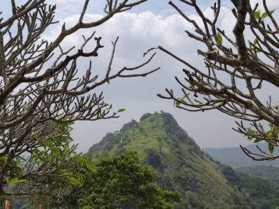 Private Tours Around Sri Lanka – WUS Kumara Tours