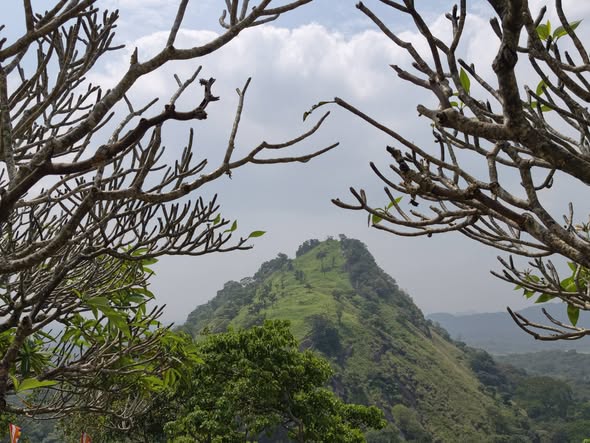 Private Tours Around Sri Lanka – WUS Kumara Tours